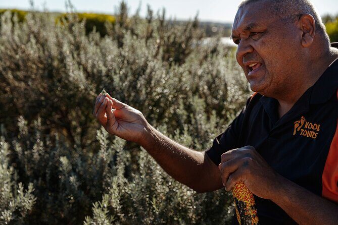 Kangaroo Island Indigenous Tour (1 Day) - Key Points