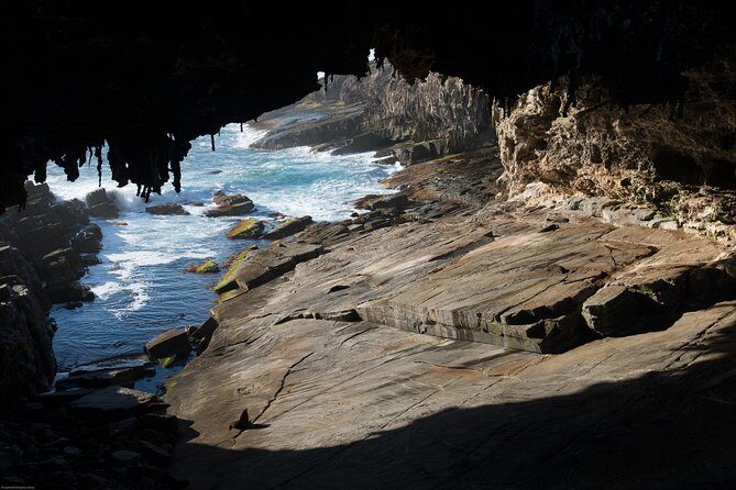 Kangaroo Island Luxury Small Group 'Flinders Chase Focus' Full Day Tour - Discovering Kangaroo Island’s Natural Wonders
