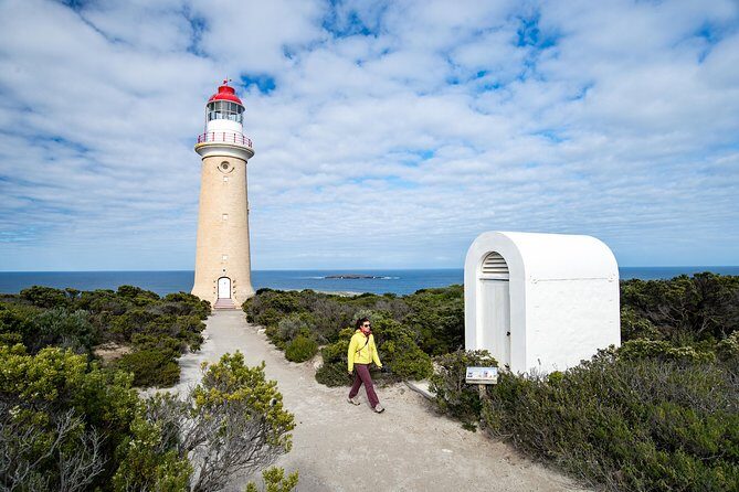Kangaroo Island Luxury Small Group 'Flinders Chase Focus' Full Day Tour - FAQ