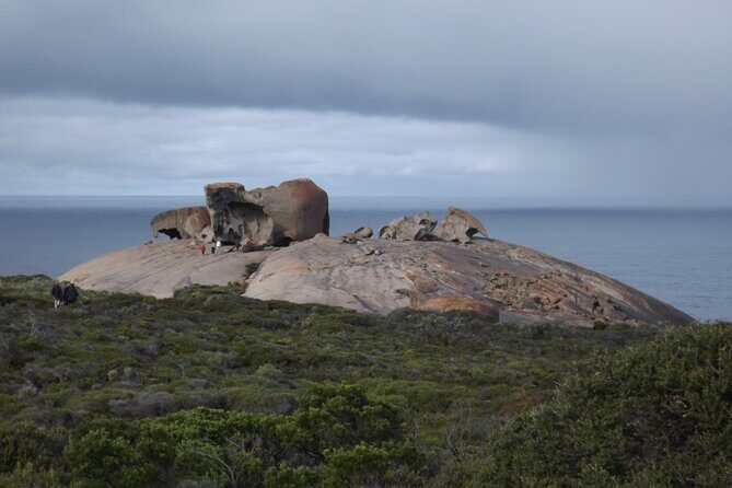 Kangaroo Island Scenic Nature and Wildlife Day Tour - Flinders Chase National Park