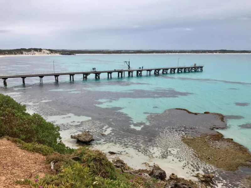 Kangaroo Island: Scenic, Nature & Wildlife Tour - Key Points