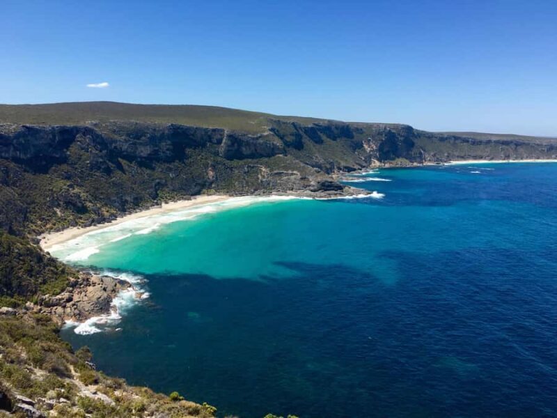 Kangaroo Island: Scenic, Nature & Wildlife Tour - An In-Depth Look at the Kangaroo Island Experience