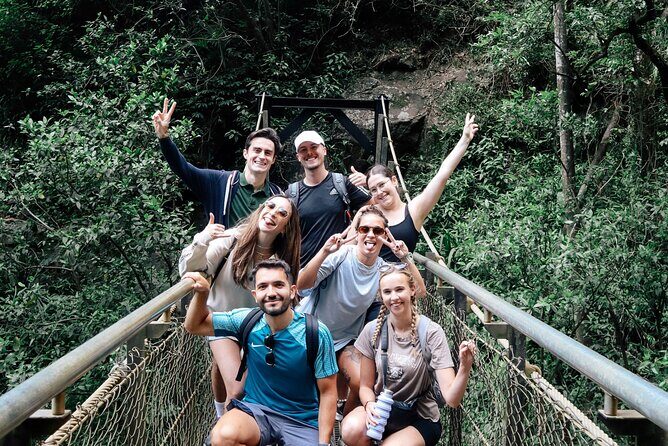 Kangaroos, 6 Springbrook Waterfalls and Natural Bridge Day Tour - Key Points