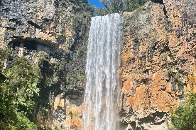 Kangaroos, 6 Springbrook Waterfalls and Natural Bridge Day Tour - What Makes This Tour Stand Out