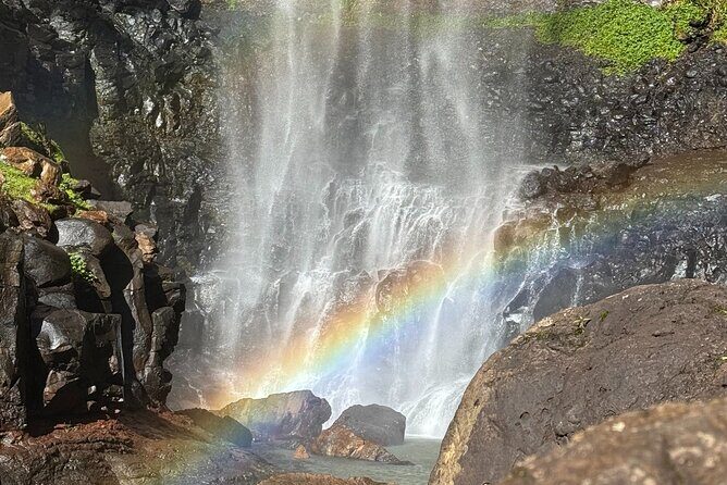 Kangaroos, 6 Springbrook Waterfalls and Natural Bridge Day Tour - FAQ