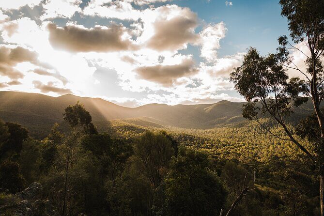 Kangaroos and Koala Experience Tour - Who Should Consider This Tour?