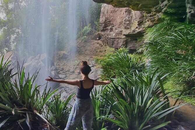 Kangaroos, Rainforest & Waterfalls Experience - Small Group - The Value of the Tour