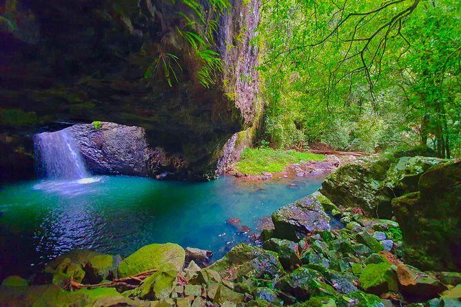 Kangaroos, Rainforest & Waterfalls Experience - Small Group - Who Will Love This Tour?