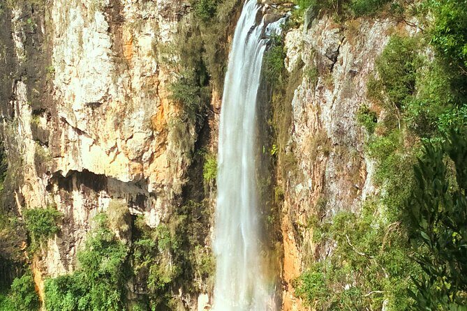 Kangaroos, Rainforest & Waterfalls Experience - Small Group - Final Thoughts