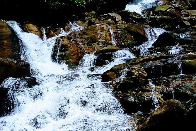 Kanneliya Rain Forest Tour - Exploring the Kanneliya Rain Forest Tour: A Deep Dive into Sri Lanka’s Biodiversity