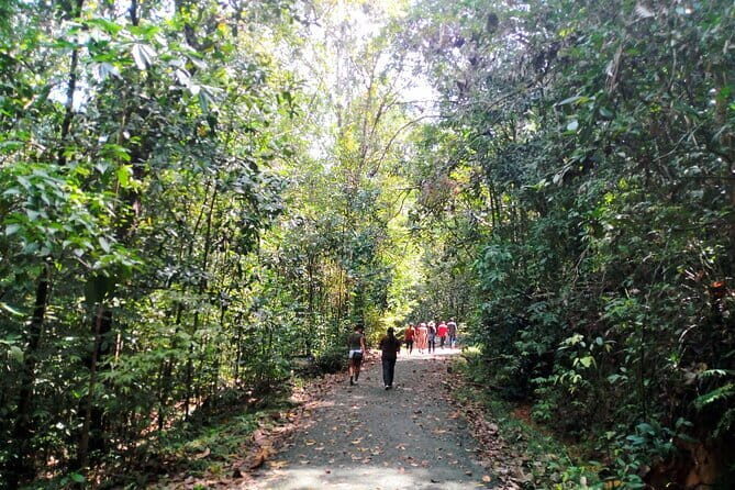 Kanneliya Rain Forest Tour - Key Points