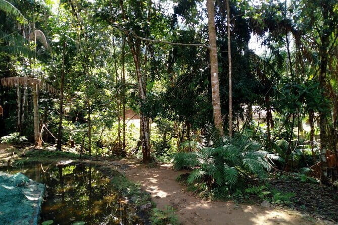 Kanneliya Rain Forest Tour - FAQ