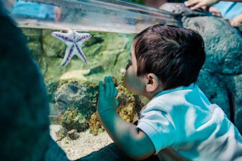 Kansas City: SEA LIFE Kansas City Aquarium General Admission - Key Points
