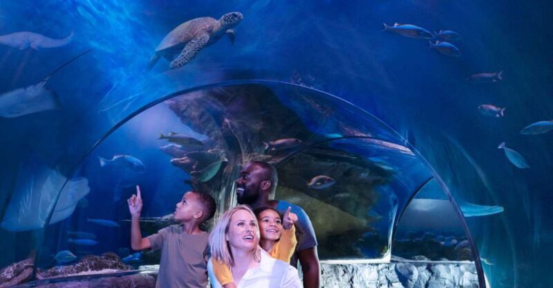 Kansas City: SEA LIFE Kansas City Aquarium General Admission - Staff and Guided Interactions