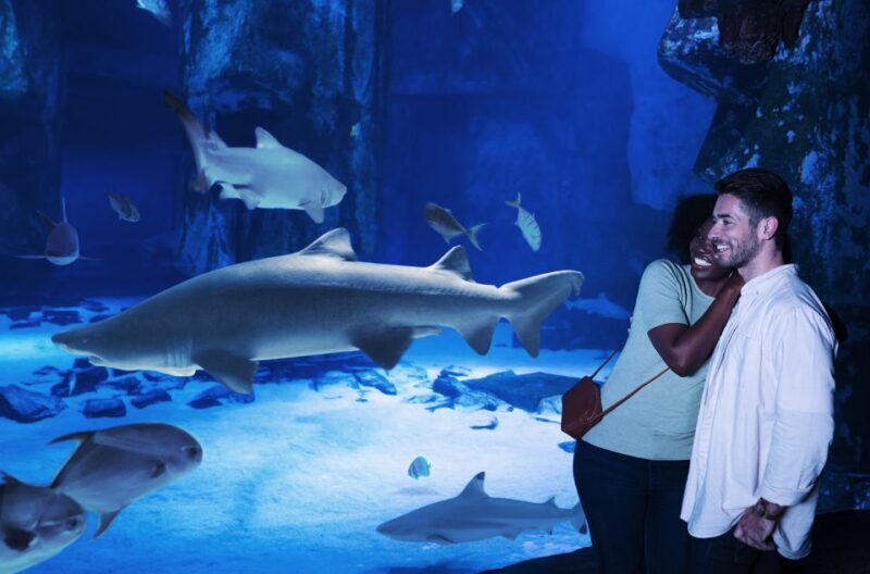 Kansas City: SEA LIFE Kansas City Aquarium General Admission - The Value of Your Ticket