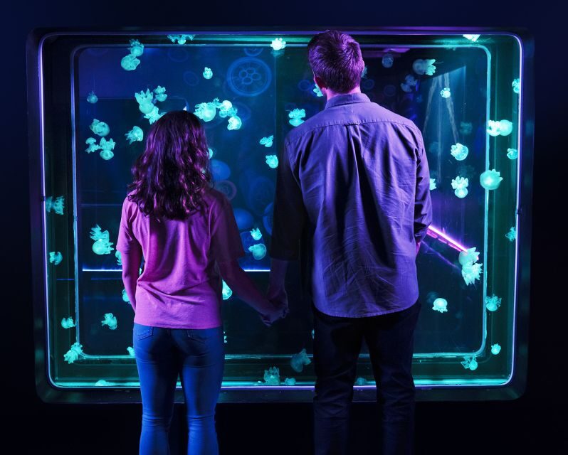 Kansas City: SEA LIFE Kansas City Aquarium General Admission - What Could Be Better?