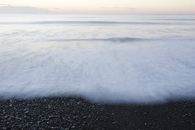 Kapiti Coast and Foxton Area Beaches Day Tour - Who Will Love This Tour?
