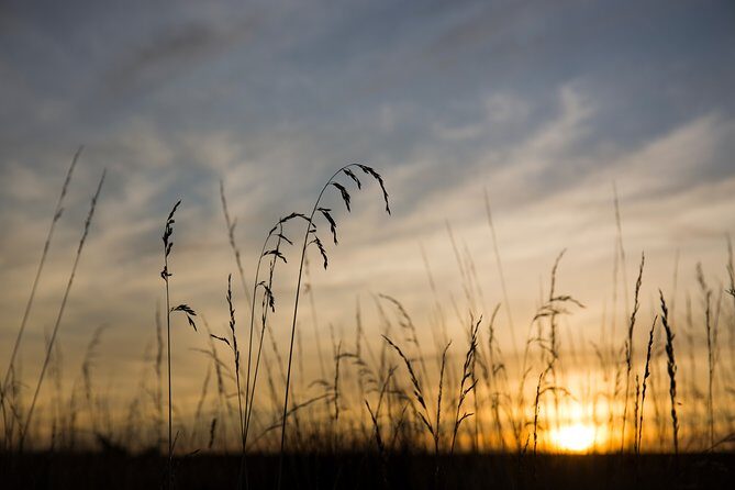 Kapiti Coast and Foxton Area Beaches Day Tour - Considerations