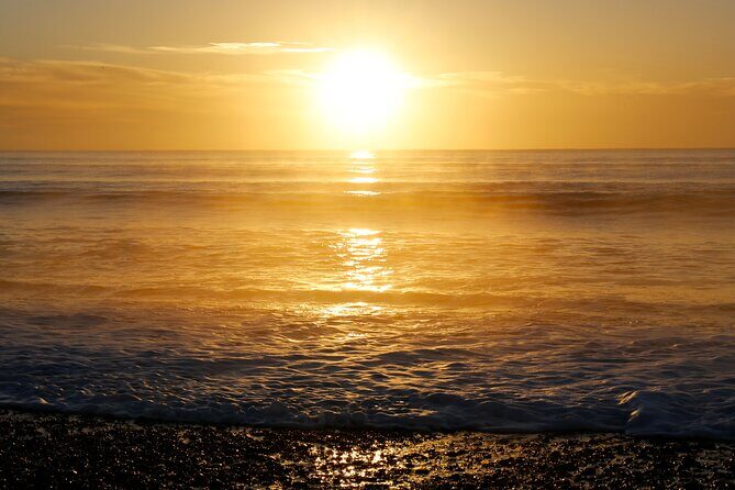 Kapiti Coast and Foxton Area Beaches Day Tour - The Sum Up
