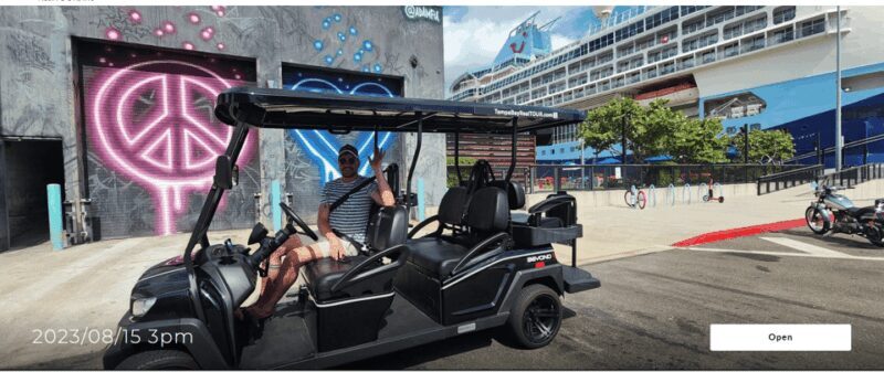 Karaoke Golf Cart City Tour  Tampa! - What Makes This Tour Stand Out?