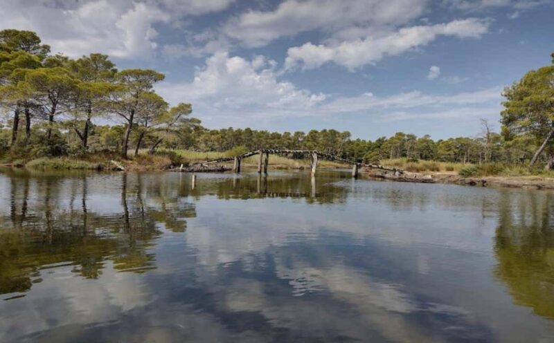 Karavasta:Bird Watching, Tower Views & Lagoon Boat Ride - Practical Details & Value