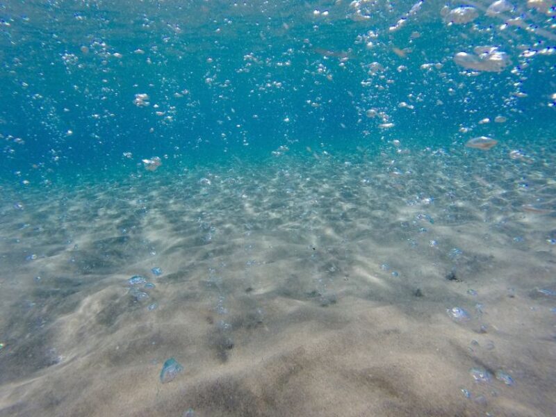 Kardamaina: 3-Bay Pirate Boat Cruise with BBQ Lunch - Who Will Love This Tour?