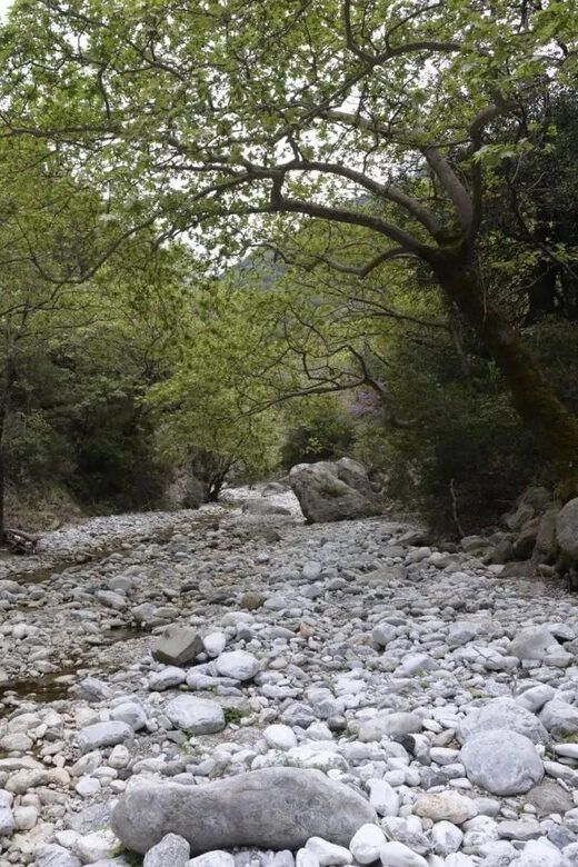 Kardamili : Hiking in Ridomo gorge - Frequently Asked Questions