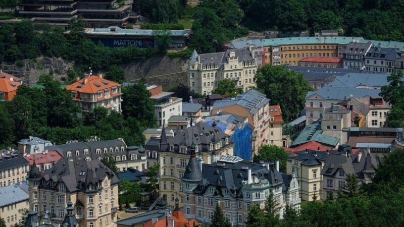 Karlovy Vary: Private Walking Tour - Price and Value Analysis
