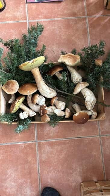 Karlsruhe: Local Cuisine Dinner with a Local Host - Final Thoughts: Is It Worth It?