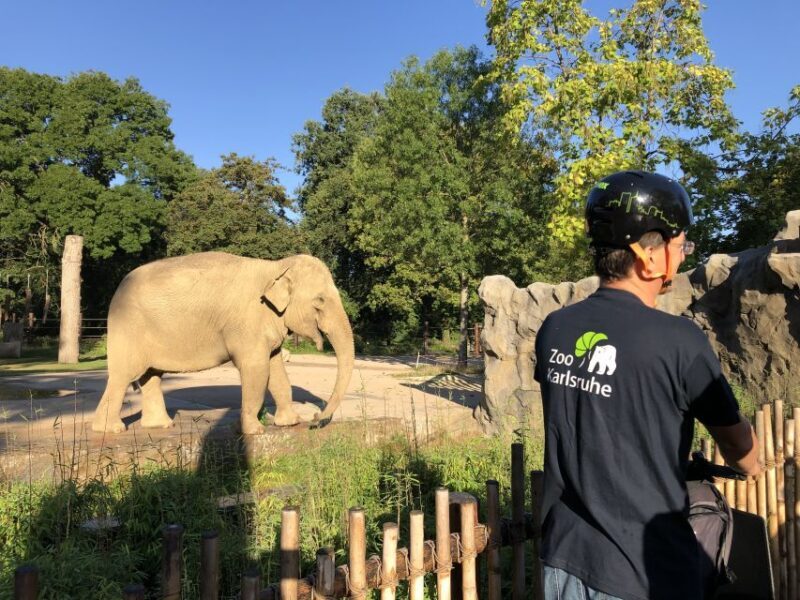 Karlsruhe: Unique Private Early Bird Segway Tour Zoo - Key Points