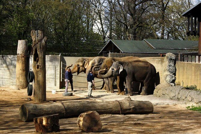 Karlsruhe Walking Tour - The Experience: What You Can Expect