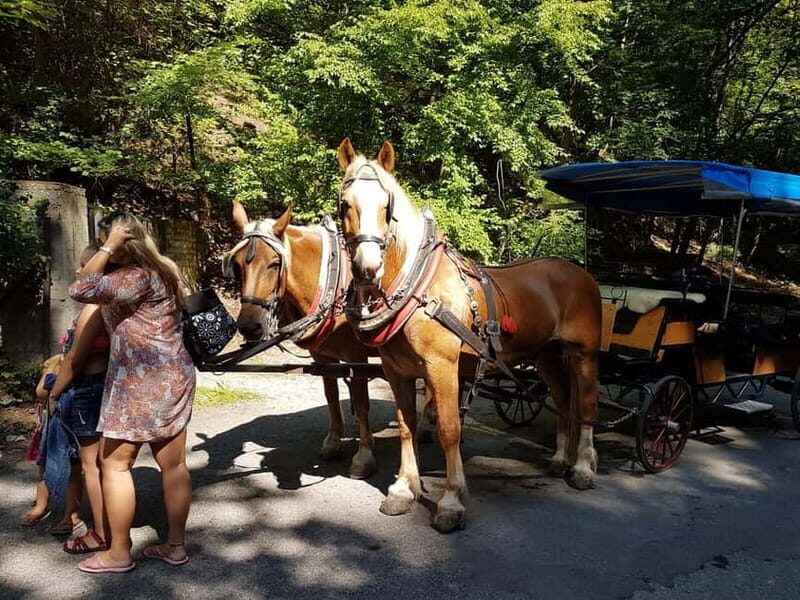 Karltejn and Big America quarry horse carriage tour - Who Will Love This Tour?