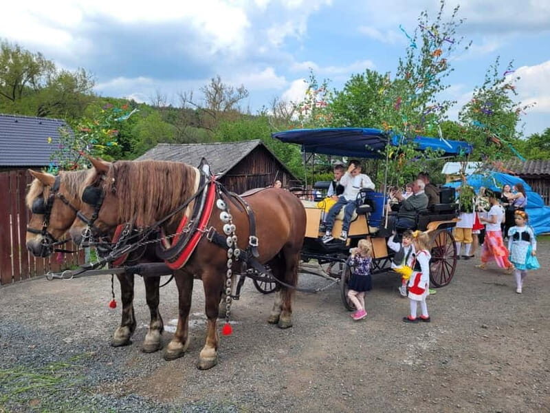Karltejn and Big America quarry horse carriage tour - Final thoughts
