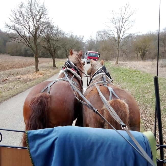 Karltejn and Big America quarry horse carriage tour - FAQ