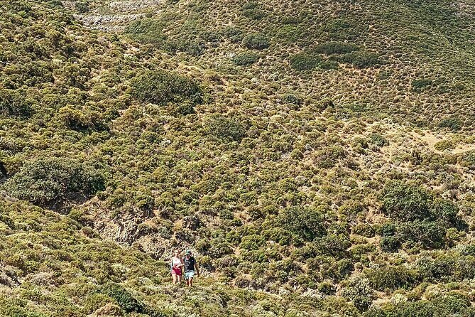 Karpathos: Traditional Olympos Tour with Driver Guide - Who Would Love This Tour?