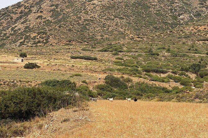 Karpathos: Traditional Olympos Tour with Driver Guide - FAQ