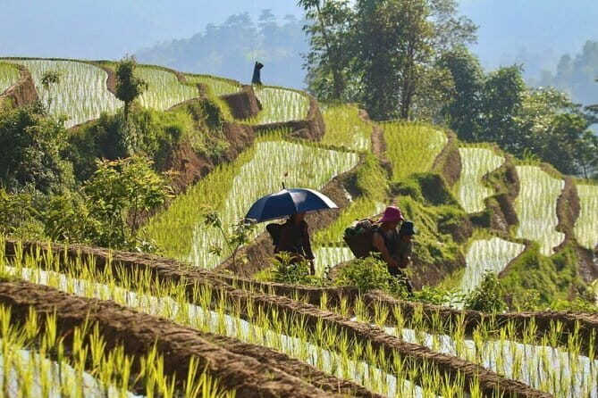 Karst Plateau Geopark Tour 3 Days 2 Nights From Hanoi - What Makes This Tour Stand Out?