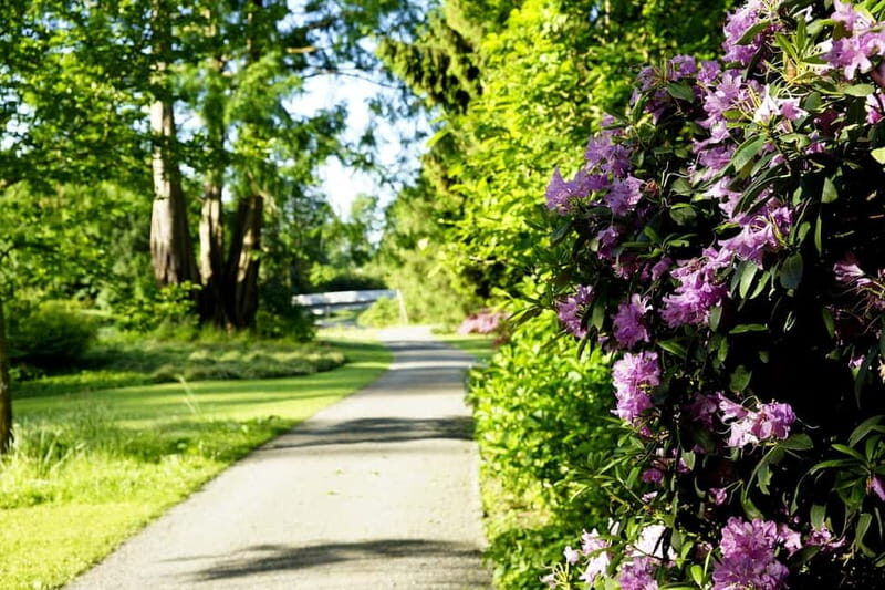 Kassel: Flowers, baroque and art - a walk from the island to the city - An In-Depth Look at This Walk