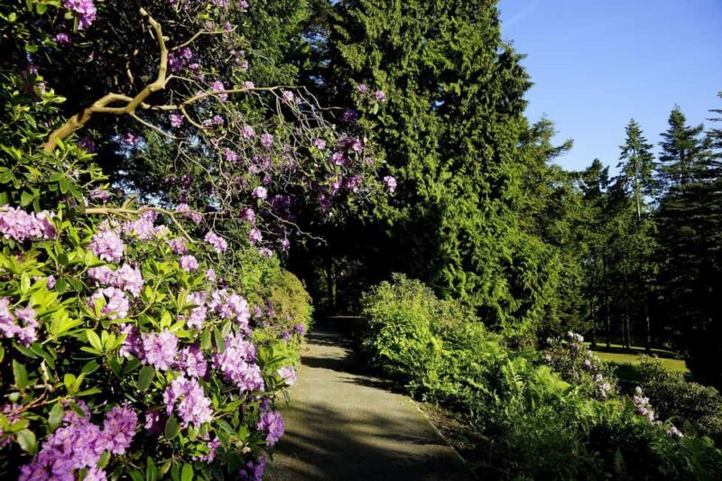 Kassel: Ready for the island?! Karlsaue and Siebenbergen in the scent of spring - What We Love About This Experience