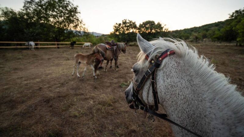 Kastraki: Meteora Sunset Horseback Riding - Who Should Consider This Tour?