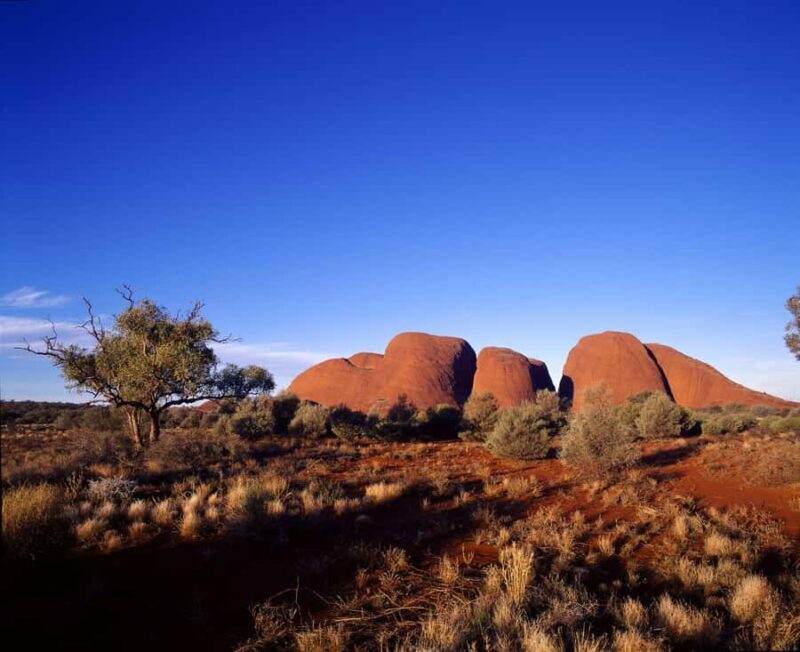 Kata Tjuta Private Guided Sunrise Tour - An In-depth Look at the Experience