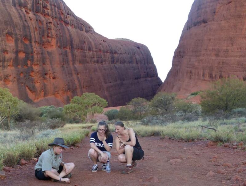 Kata Tjuta: Small Group Sunrise Tour with Picnic Breakfast - Authentic and Highly Praised Aspects