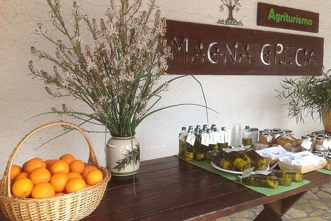 Katakolon 7hour tour : Olympia-Honey Farm-Winery-Beach - Frequently Asked Questions