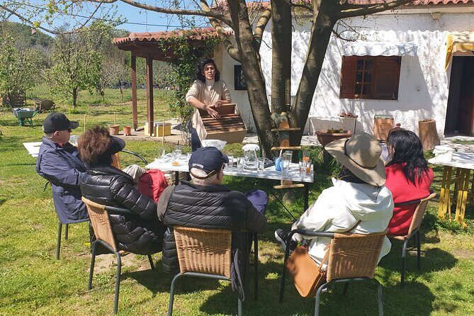Katakolon Shore Excursion: Olympic site, Honey/Olive Oil Tasting - The Right Fit for You