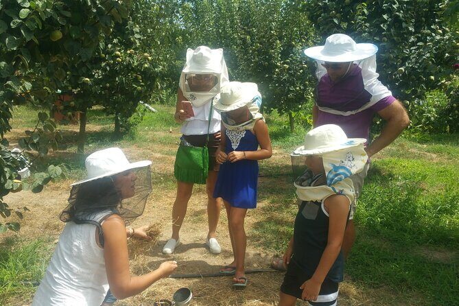 Katakolon Shore Excursion: Olympic site, Honey/Olive Oil Tasting - Final Thoughts: Why Choose This Tour?
