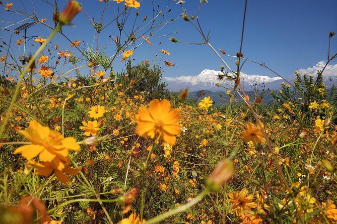 Kathmandu and Pokhara: A Journey Through Nepal's Cultural and Natural Wonders - Practical Tips for Travelers