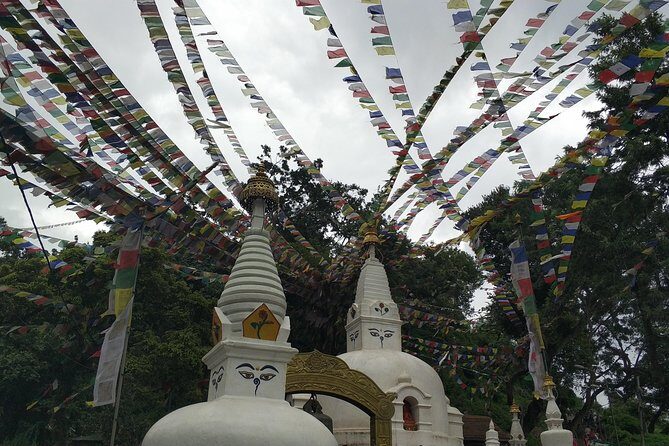 Kathmandu and Pokhara: A Journey Through Nepal's Cultural and Natural Wonders - How the Reviews Confirm the Experience