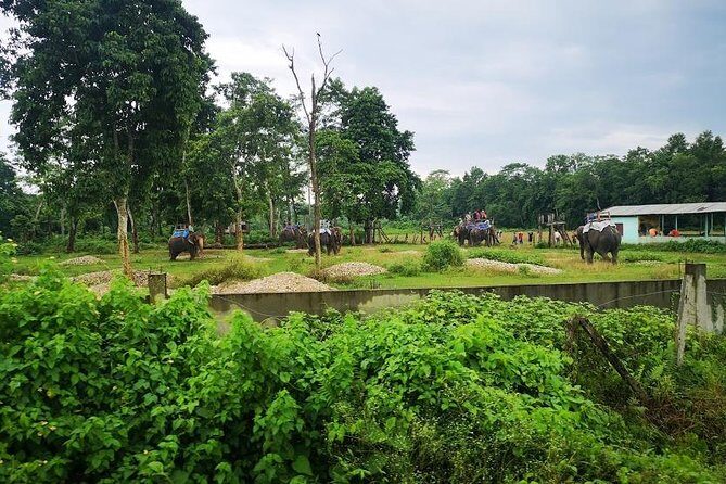 Kathmandu Chitwan Pokhara Tour - Practical Tips for Future Travelers