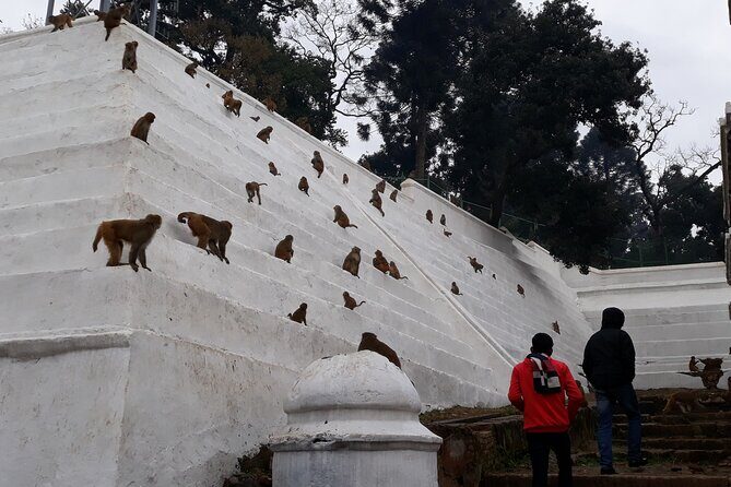 Kathmandu Cultural Tour and Wildlife in Bardia - Transition to Nature and Wildlife in Bardia