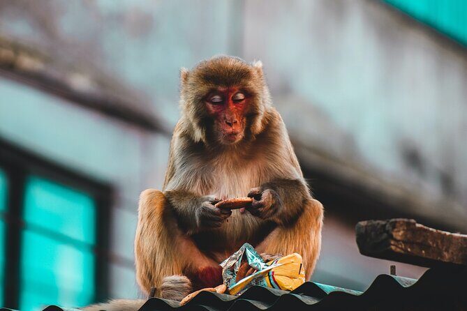 Kathmandu Highlights with Nagarkot Tour - Frequently Asked Questions